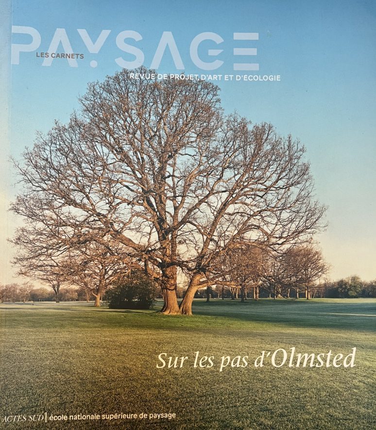 IMG_8745-e1764000410597