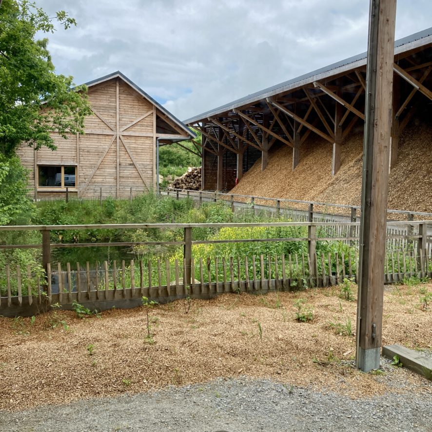 IMG_6383-e1764693245703